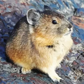 Little Pika Paint by Number