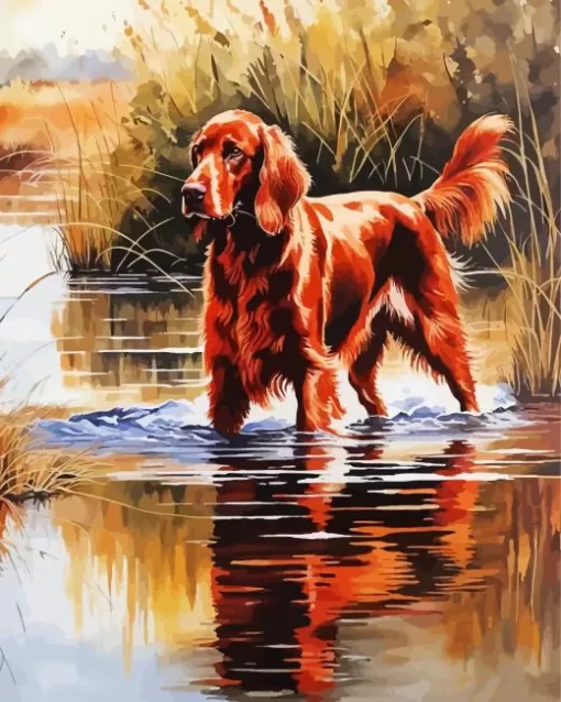 Lonely Irish Setter Paint by Number