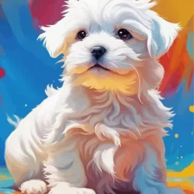 Maltese Puppy Art Paint by Number