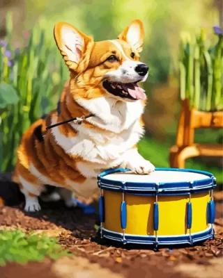 Pembroke Welsh Corgi Playing A Drum Paint by Number