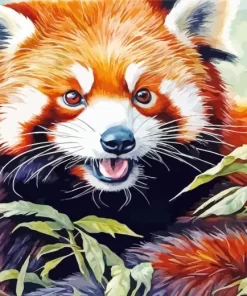 Red Panda Animal Paint by Number