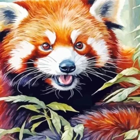 Red Panda Animal Paint by Number