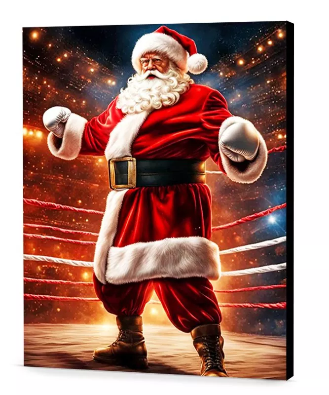 Santa is Ready to Fight