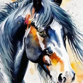 Splatter Shire Horse Paint by Numbers 