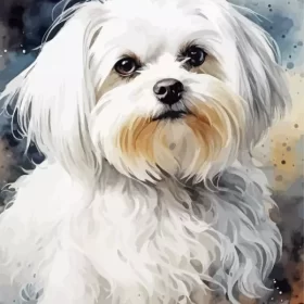 Splatter Maltese Paint by Number