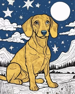 Starry Night Vizsla Paint by Numbers