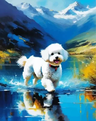 White Bichon Frise Art Paint by Numbers