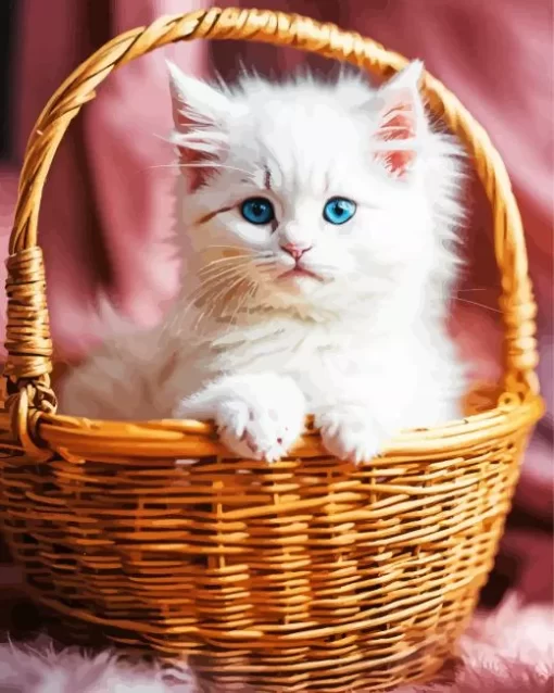 White Birman In Basket Paint by Number