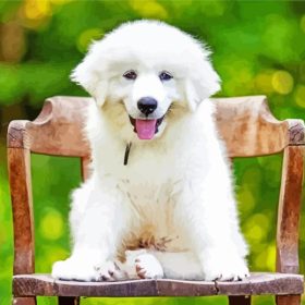White Great Pyrenees Paint by Number