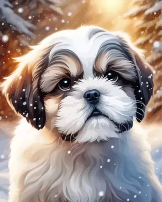 White Shih Tzu Paint by Number