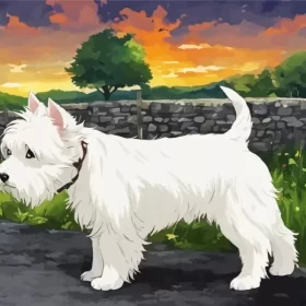 White West Highland Terrier Art Paint by Number