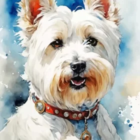 White Westie Paint by Number