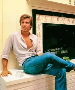 Young Harrison Ford Paint by Number