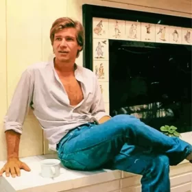 Young Harrison Ford Paint by Number