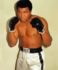 American Muhammad Ali Paint by Number