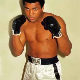 American Muhammad Ali Paint by Number