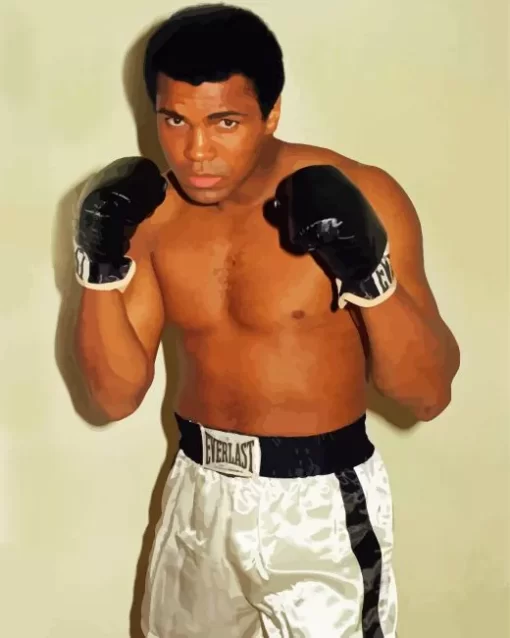 American Muhammad Ali Paint by Number