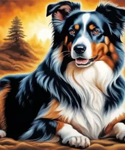 Australian Shepherd Dog Paint by Number