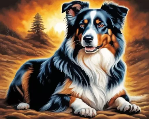 Australian Shepherd Dog Paint by Number