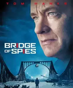 Bridge Of Spies Tom Hanks Paint by Number