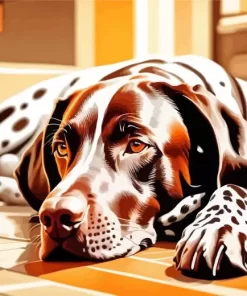 Brown German Shorthaired Pointer Paint by Number