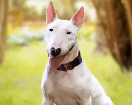 Bull Terrier Puppy Paint by Number