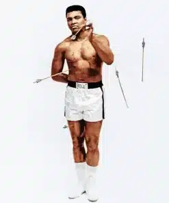 Champion Muhammad Ali Paint by Number