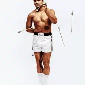 Champion Muhammad Ali Paint by Number