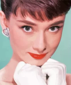 Charming Audrey Hepburn Paint by Number