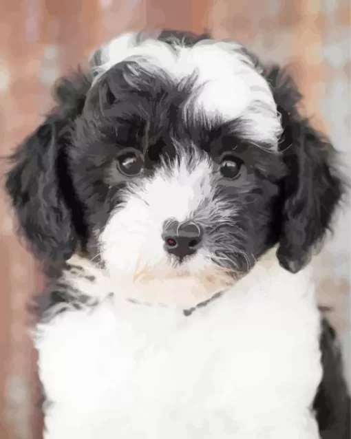 Close Up Sheepadoodle Paint by Number