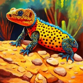 Gila Monster On a Rock Paint by Number