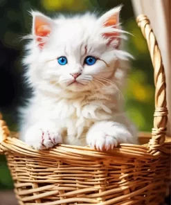 Himalayan Cat In Basket Paint by Number