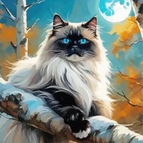 Himalayan Cat On Tree Paint by Number