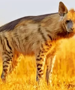 Hyenas Animal Paint by Number