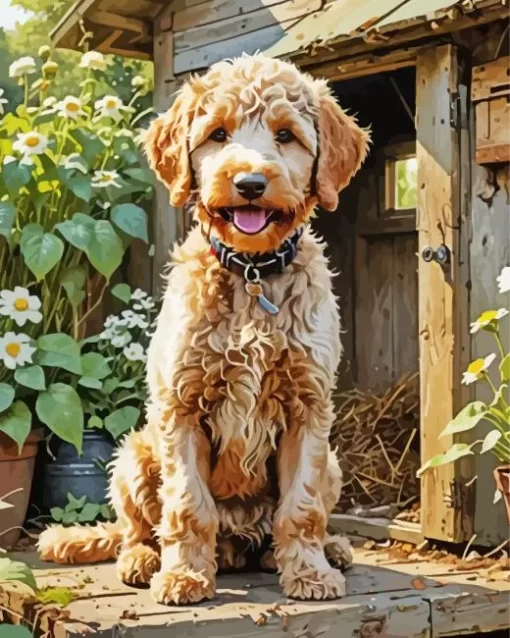 Labradoodle Dog Paint by Numbers