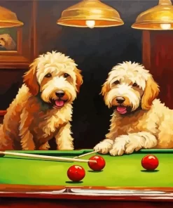 Labradoodles Playing Snooke Paint by Number