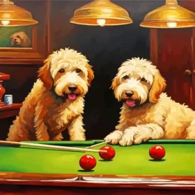 Labradoodles Playing Snooke Paint by Number