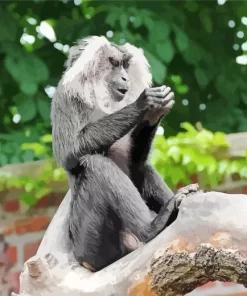 Lion Tailed Macaque On Tree Paint by Numbers