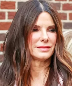 Sandra Bullock Celebrity Paint by Number