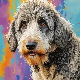 Sheepadoodle Art Paint by Number