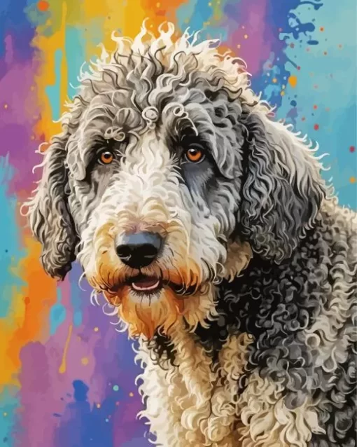 Sheepadoodle Art Paint by Number