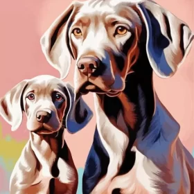 Weimaraner Dogs Paint by Number