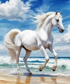 White Arabian Horse Paint by Number