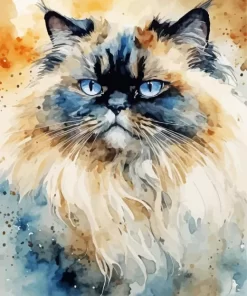 Abstract Himalayan Cat Paint by Number