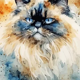 Abstract Himalayan Cat Paint by Number