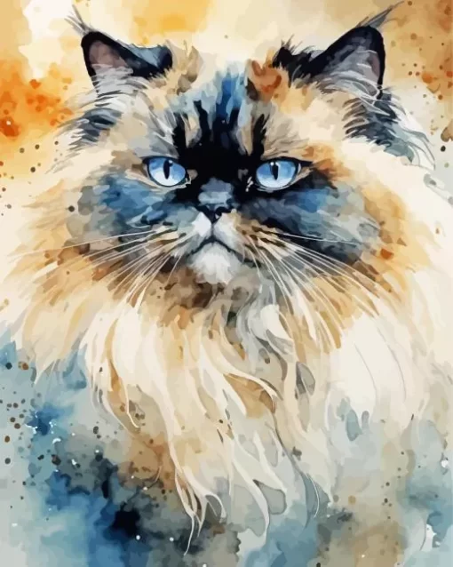 Abstract Himalayan Cat Paint by Number