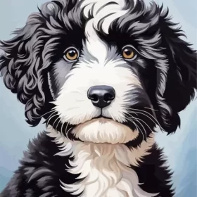 Australian Sheepadoodle Puppy Paint by Number