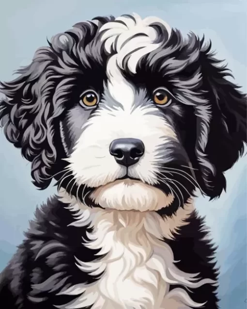 Australian Sheepadoodle Puppy Paint by Number