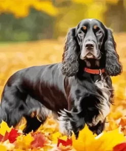 Autumn English Cocker Spaniel Paint by Number