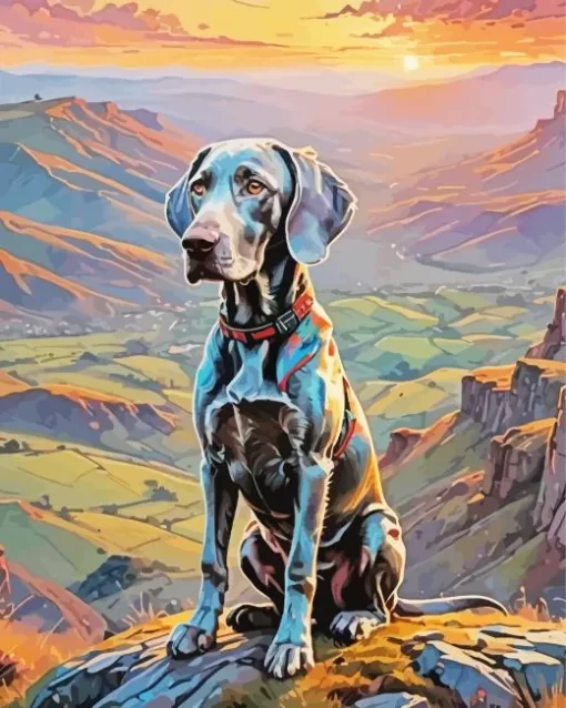 Black Weimaraner Paint by Number